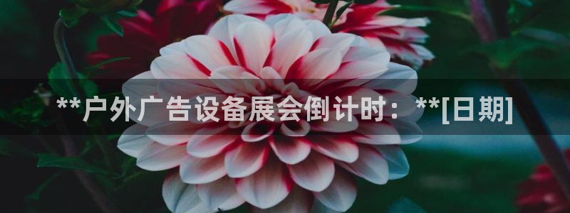 杏宇平台注册登录