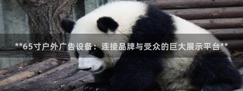 杏宇平台总代理