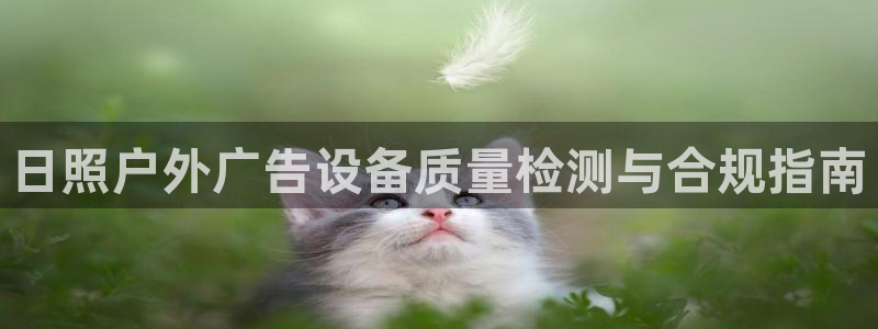 杏宇平台代理多少钱一个月