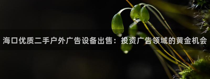 杏宇官方平台官网