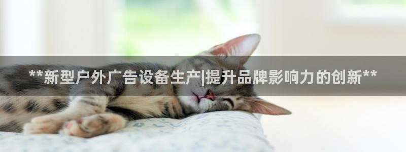 杏宇平台是什么