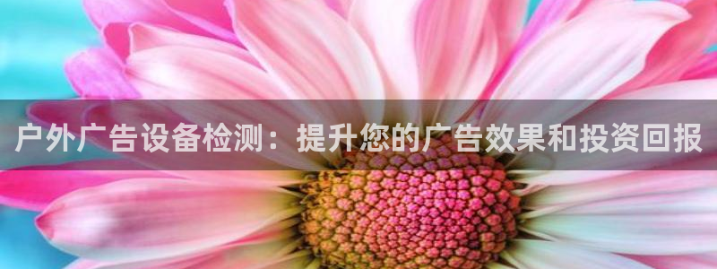 杏宇平台注册登录