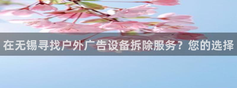 杏宇平台注册登录