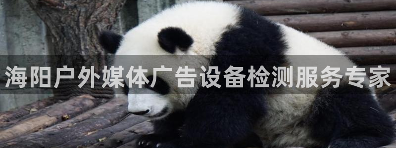 杏宇平台代理怎么样可靠吗