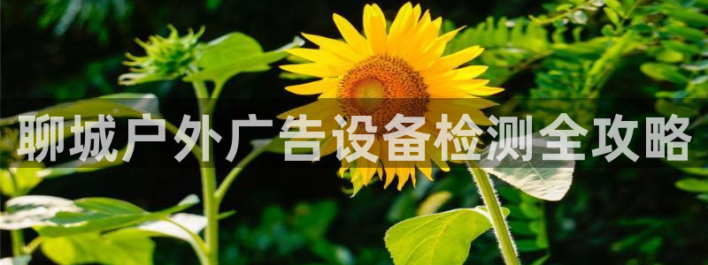 杏宇平台注册登录