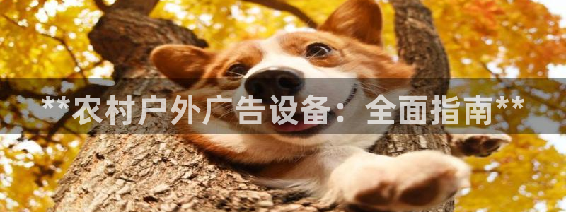 杏宇平台代理多少钱一个月