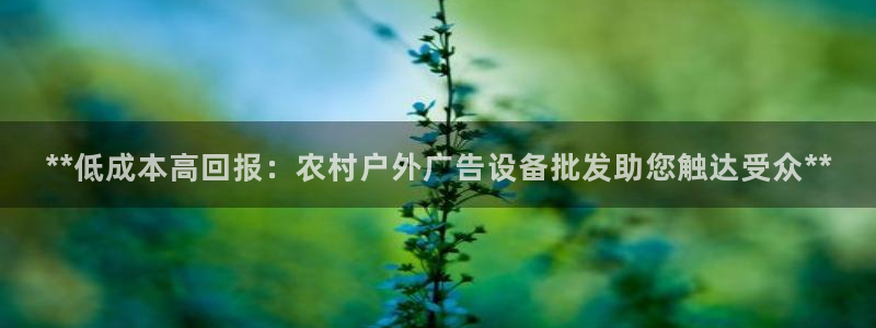 杏宇平台代理怎么赚钱快