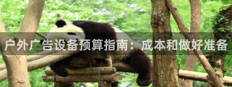 杏宇平台注册地址在哪里