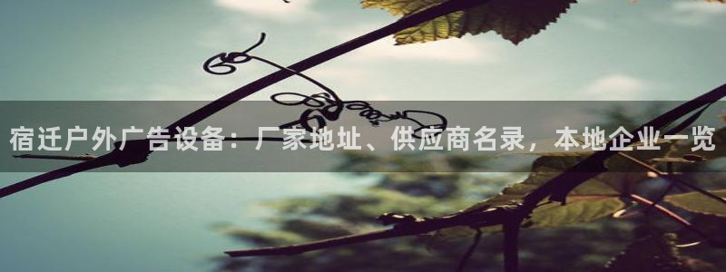 杏宇平台代理怎么样