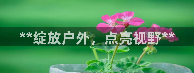 杏宇平台总代理是谁
