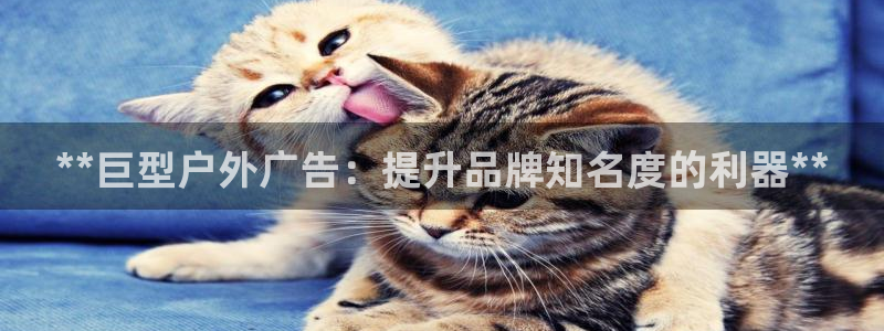 杏宇平台登录方法
