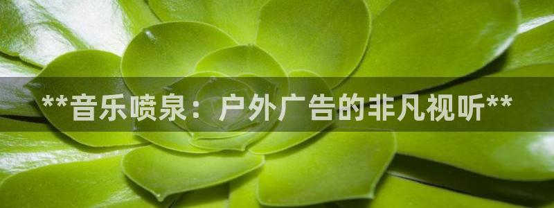杏宇平台注册登录