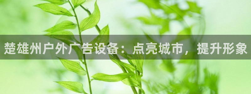 杏宇平台登录步骤是什么