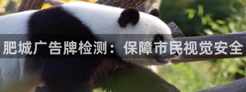 杏宇平台代理多少钱一个月