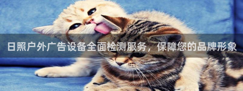 杏宇平台官网注册