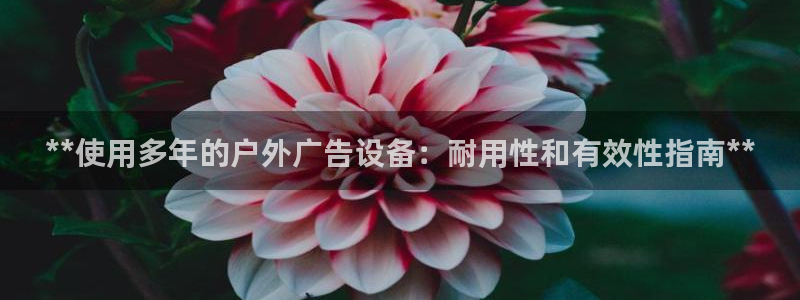 杏宇平台登录步骤是什么：**使用多年的户外广告设备：耐用性和有效性指南**