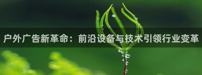 杏宇平台登录步骤图
