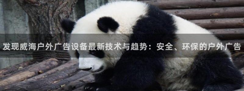 杏宇平台注册登录：发现威海户外广告设备最新技术与趋势：安全、环保的户外广告