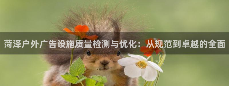 杏宇平台登陆：菏泽户外广告设施质量检测与