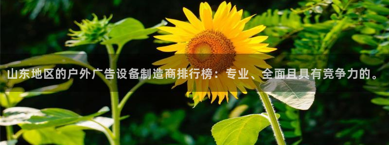 杏宇平台代理多少钱一个