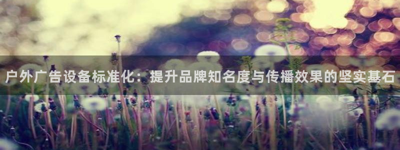 杏宇平台代理多少钱一次：户外广告设备标准化：提升品牌知名度与传播效果的坚实基石