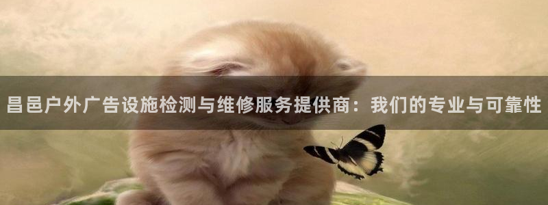 杏宇平台代理多少钱一次：昌邑户外广告设施检测与维修服务提供商：我们的专业与可靠性