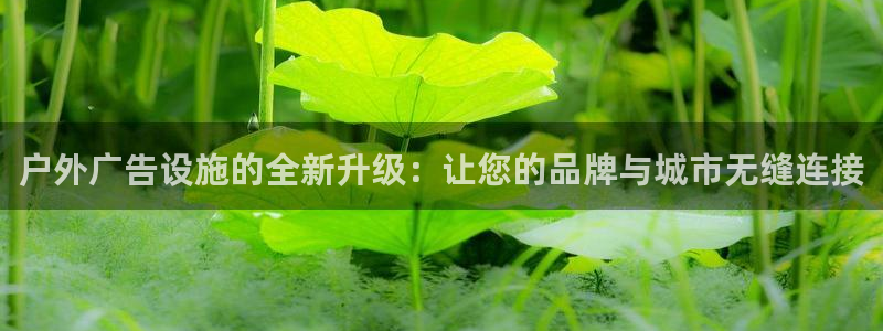 杏宇平台代理多少钱：户外广告设施的全新升级：让您的品牌与城市无缝连接
