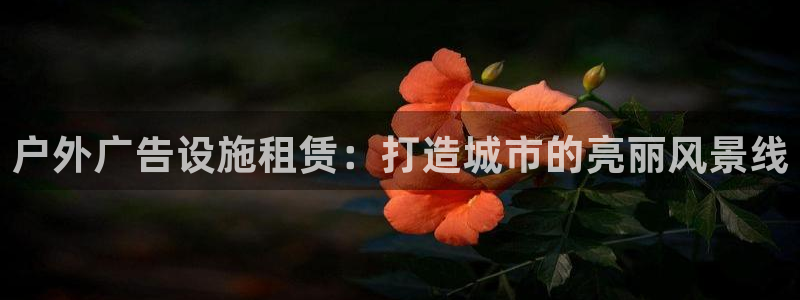 杏宇平台注册地址在哪里：户外广告设施租赁：打造城市的亮丽风景线