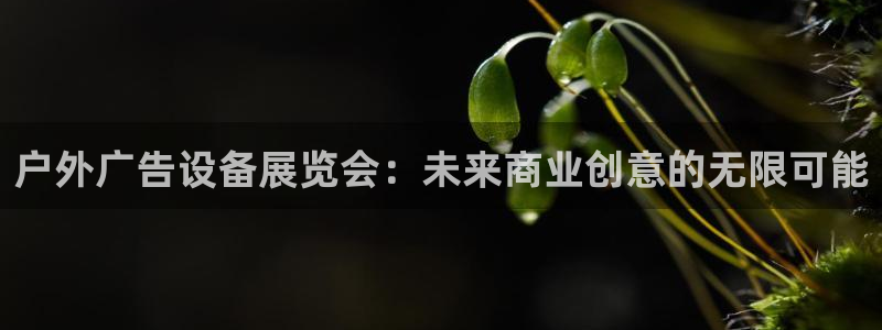 杏宇平台怎么样：户外广告设备展览会：未来商业创意的无限可能