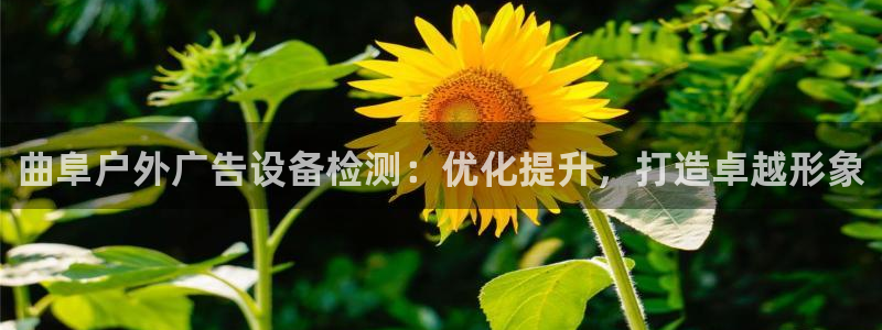 杏宇平台怎么样知乎：曲阜户外广告设备检测