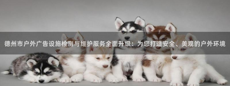 杏宇平台主管：德州市户外广告设施检测与维