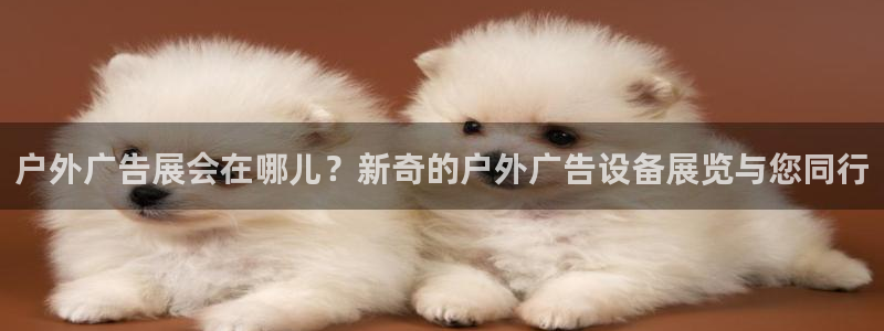 杏宇代理注册：户外广告展会在哪儿？新奇的户外广告设备展览与您同行