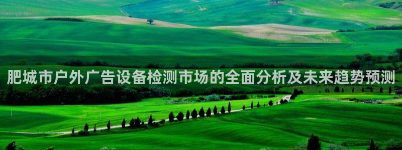 杏宇平台登录步骤：肥城市户外广告设备检测市场的全面分析及未来趋势预测