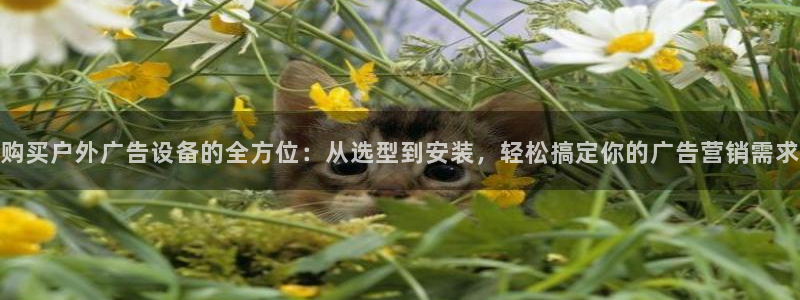 杏宇平台总代理电话：购买户外广告设备的全方位：从选型到安装，轻松搞定你的广告营销需求