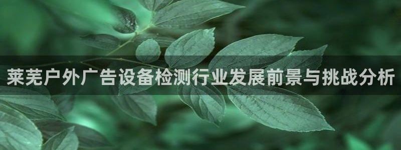 杏宇平台开户：莱芜户外广告设备检测行业发展前景与挑战分析