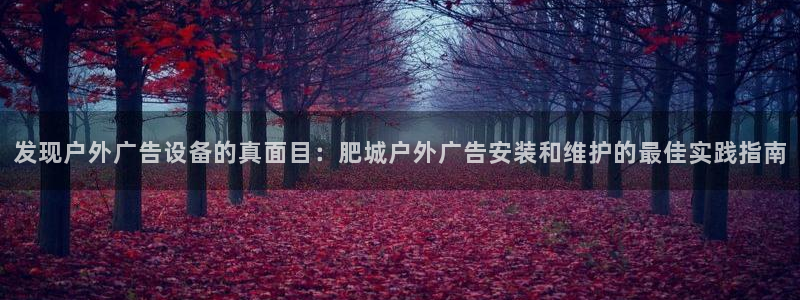 杏宇平台注册地址在哪里：发现户外广告设备的真面目：肥城户外广告安装和维护的最佳实践指南