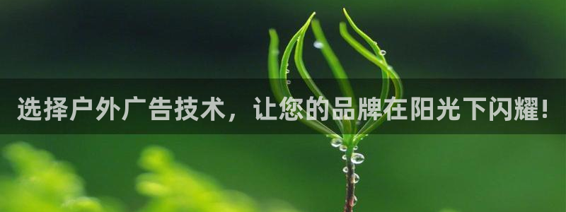 杏宇平台代理怎么样啊：选择户外广告技术，让您的品牌在阳光下闪耀!