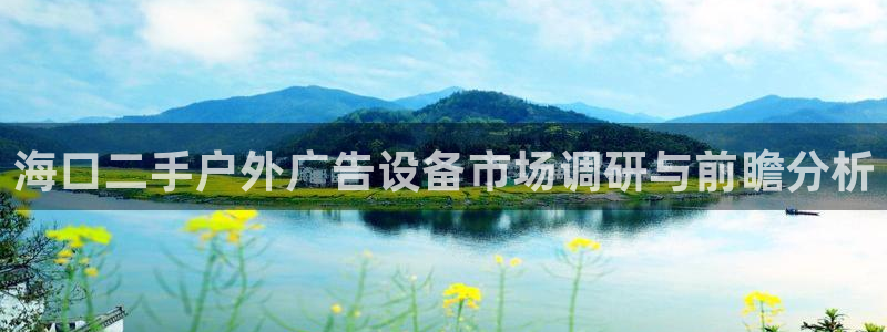 杏宇官方平台官网入口：海口二手户外广告设备市场调研与前瞻分析