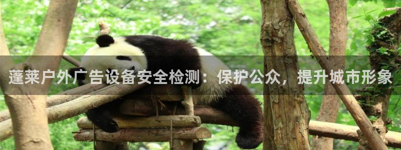 杏宇平台登录步骤是什么