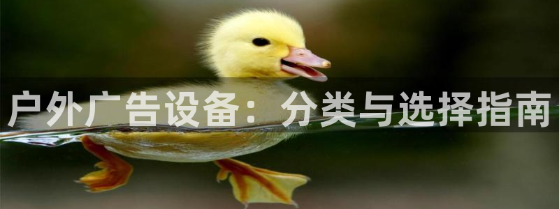 杏宇平台代理怎么样赚钱：户外广告设备：分类与选择指南