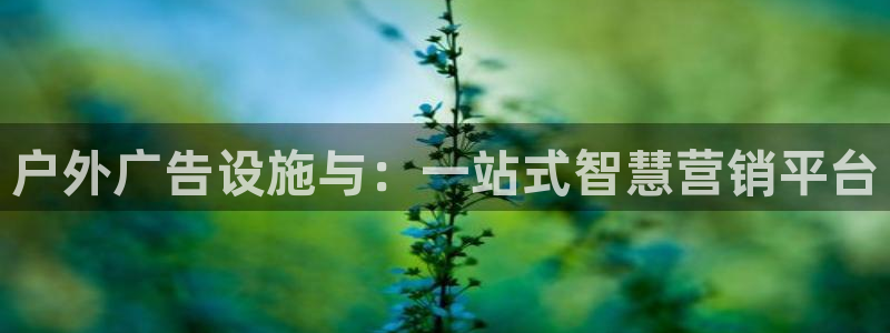 杏宇平台怎么样赚钱