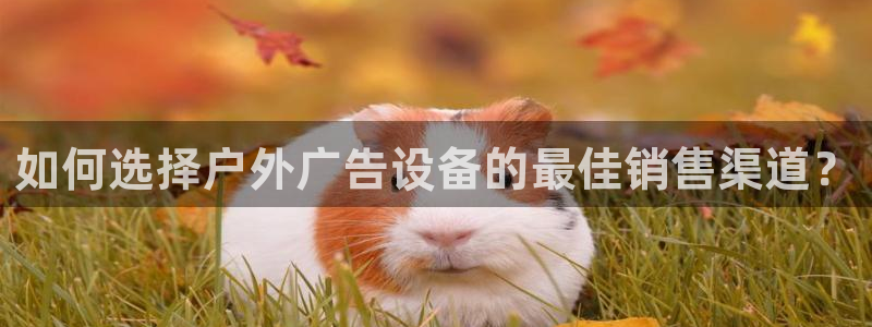 杏宇平台提现为什么这么久呢