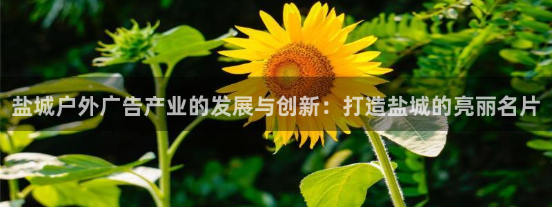 杏宇官方平台官网：盐城户外广告产业的发展与创新：打造盐城的亮丽名片