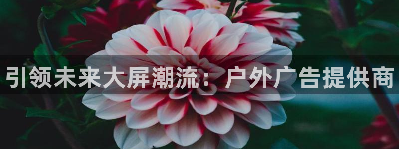 杏宇平台代理多少钱一个：引领未来大屏潮流