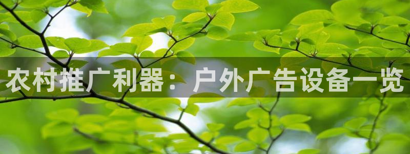 杏宇平台代理多少钱一个月
