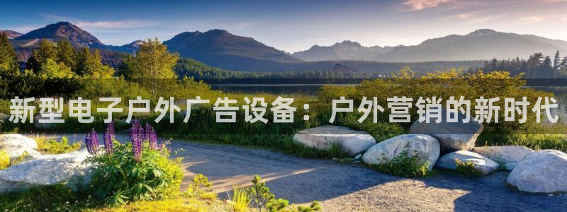 杏宇平台主管