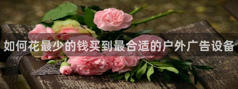 杏宇平台招商