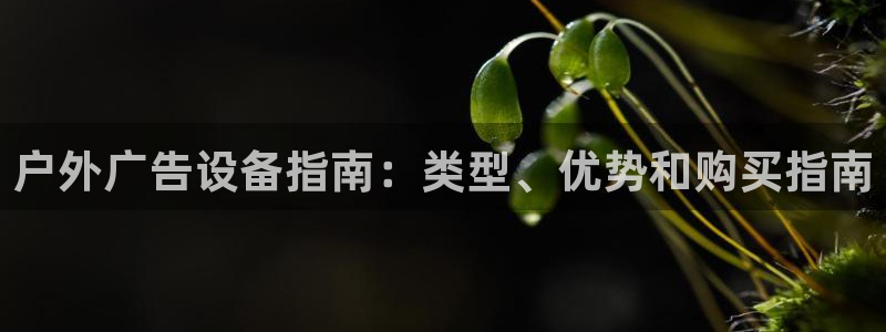 杏宇平台代理怎么赚钱的