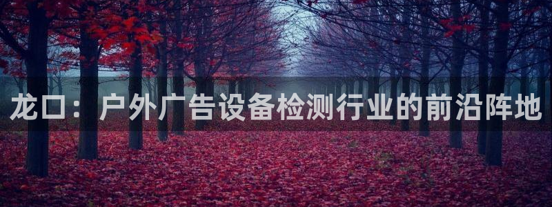 杏宇平台总代理