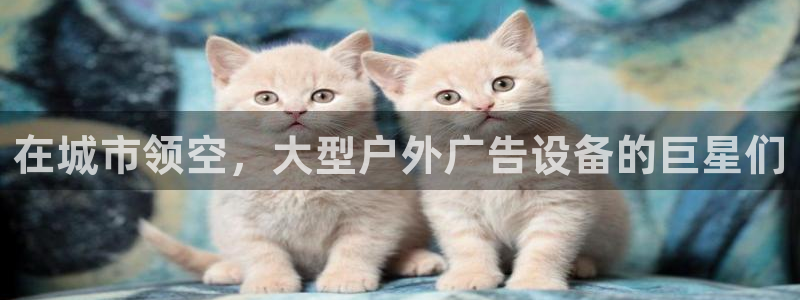 杏宇官方平台官网